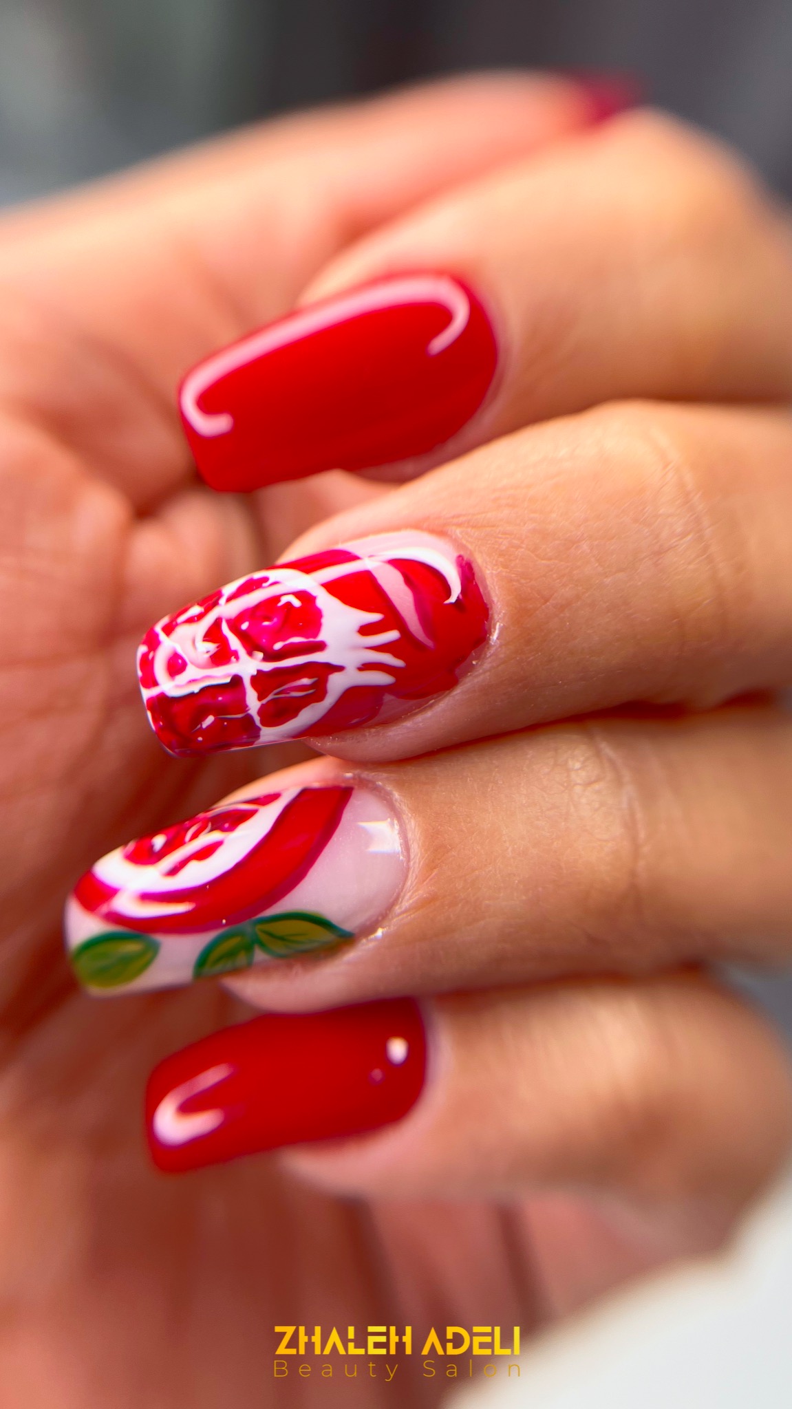 تصویر گالری