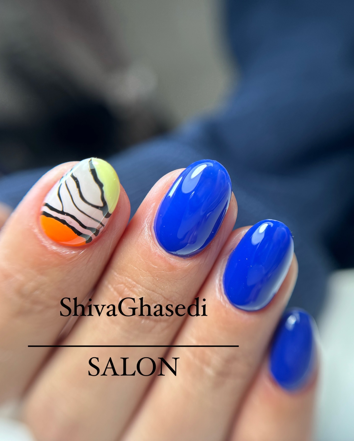 تصویر گالری