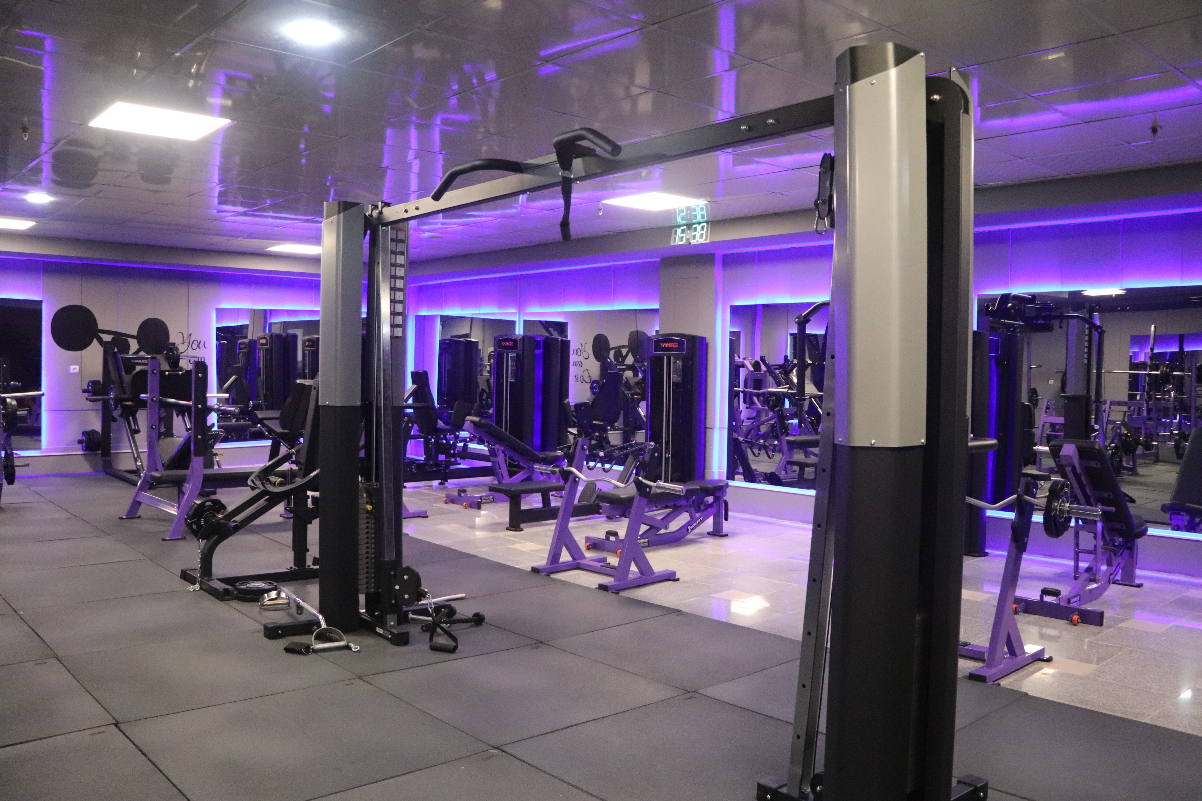 تصویر گالری