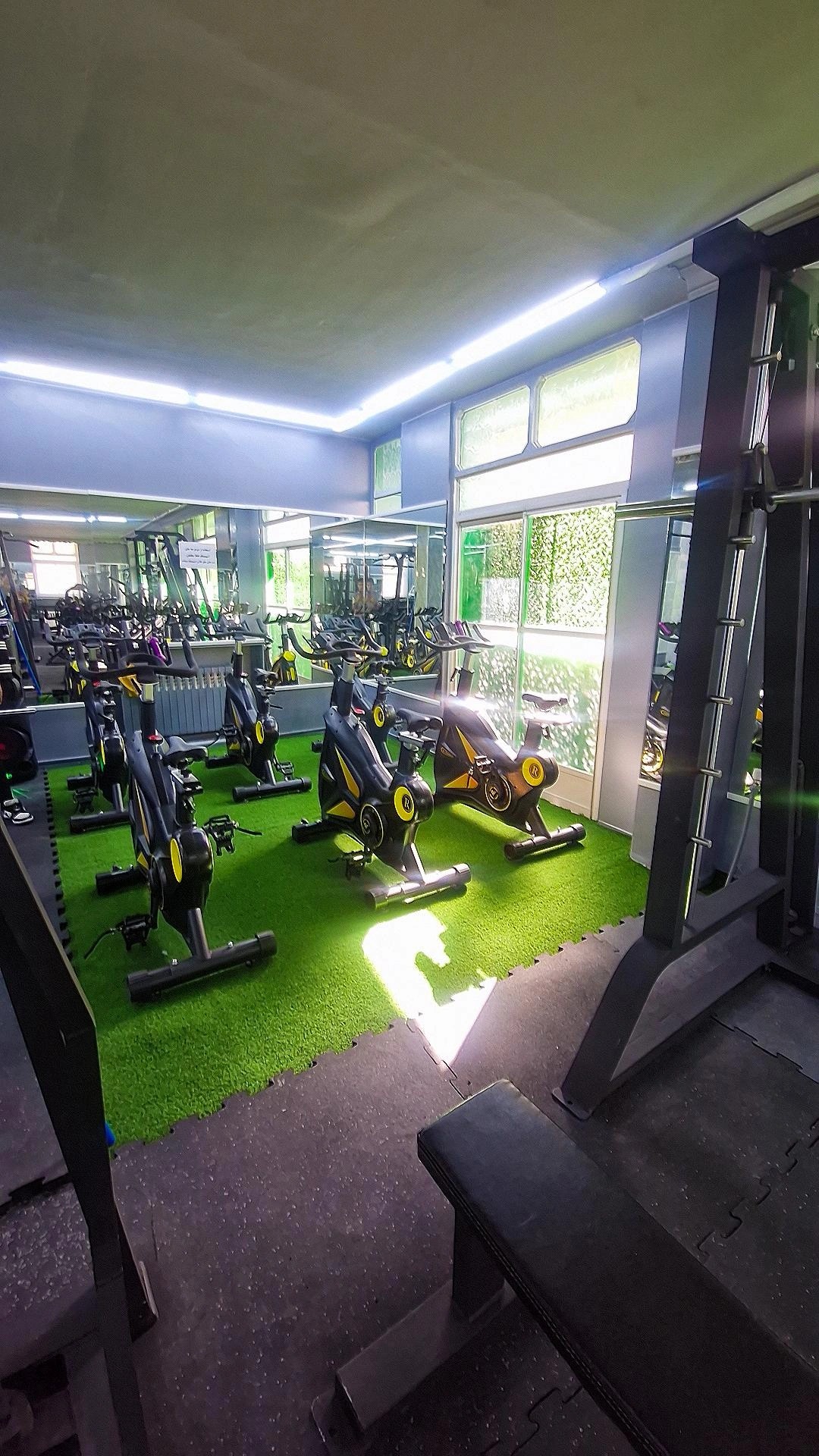 تصویر گالری