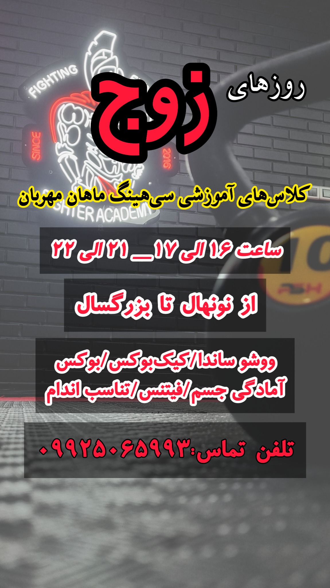 تصویر گالری