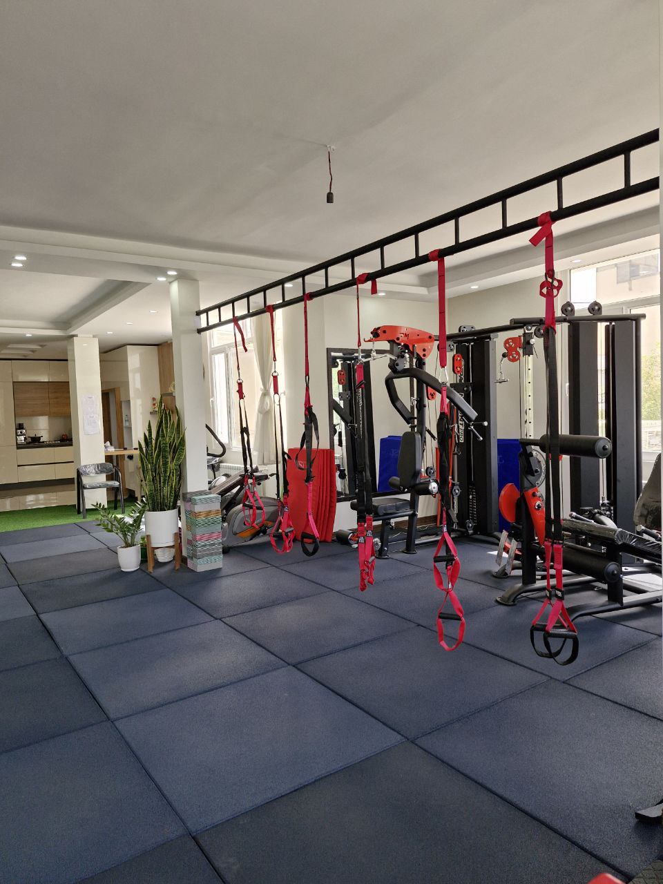 باشگاه بانوان الی جیم