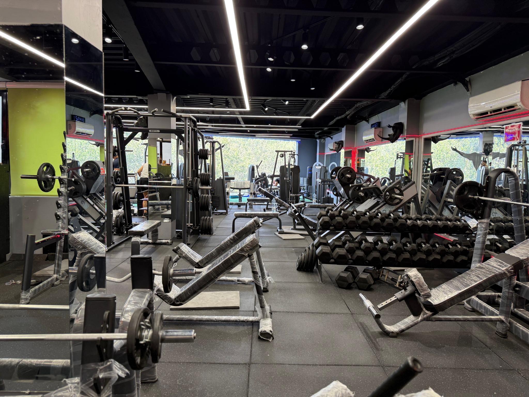 تصویر گالری