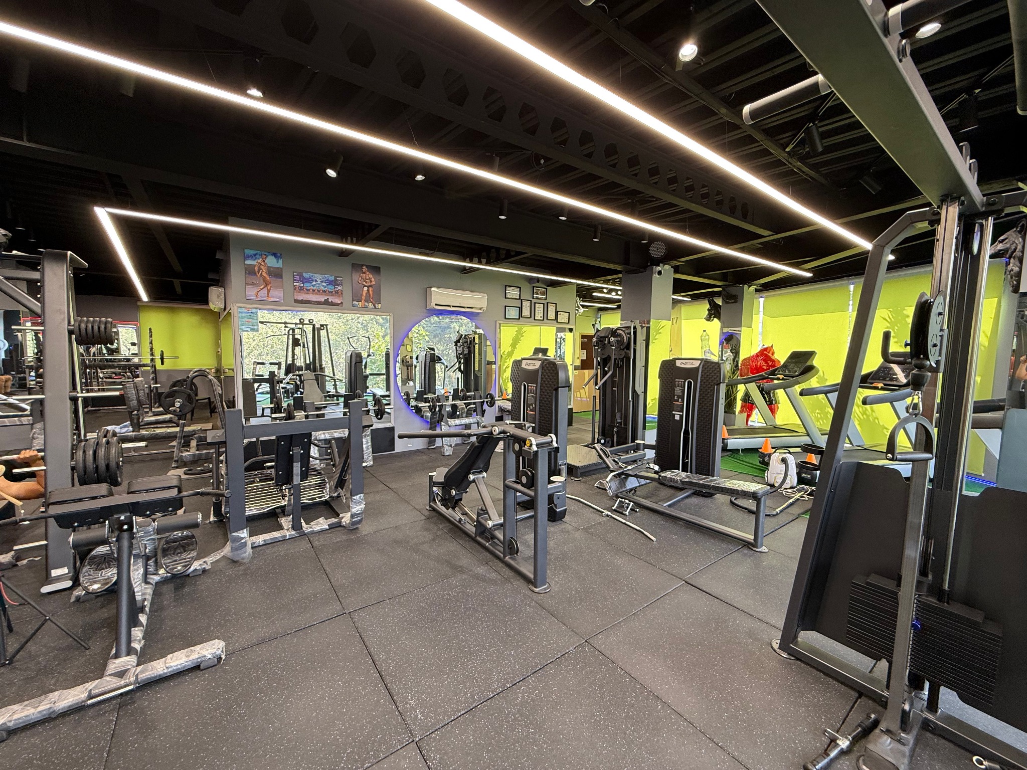 تصویر گالری