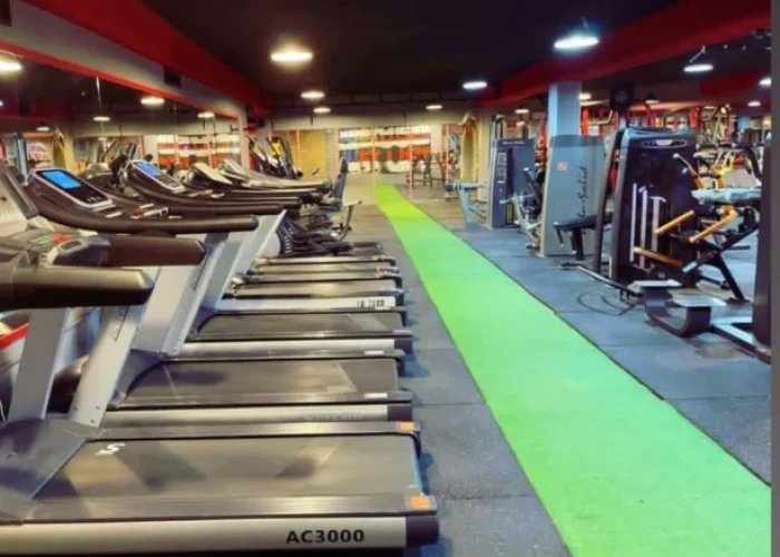 باشگاه لایف استایل