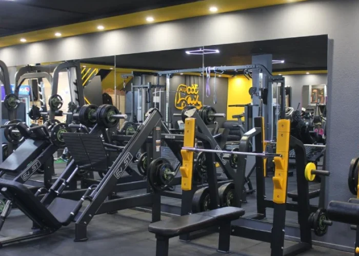 تصویر گالری