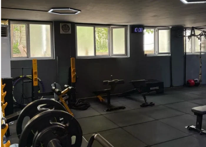 تصویر گالری