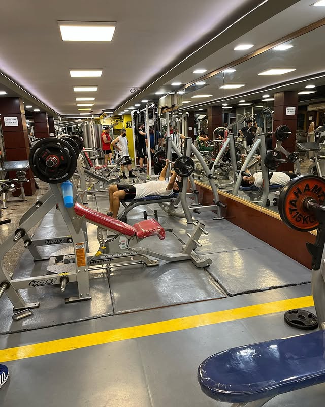 تصویر گالری