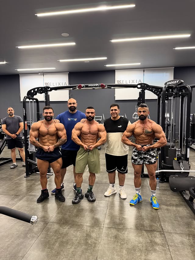 تصویر گالری