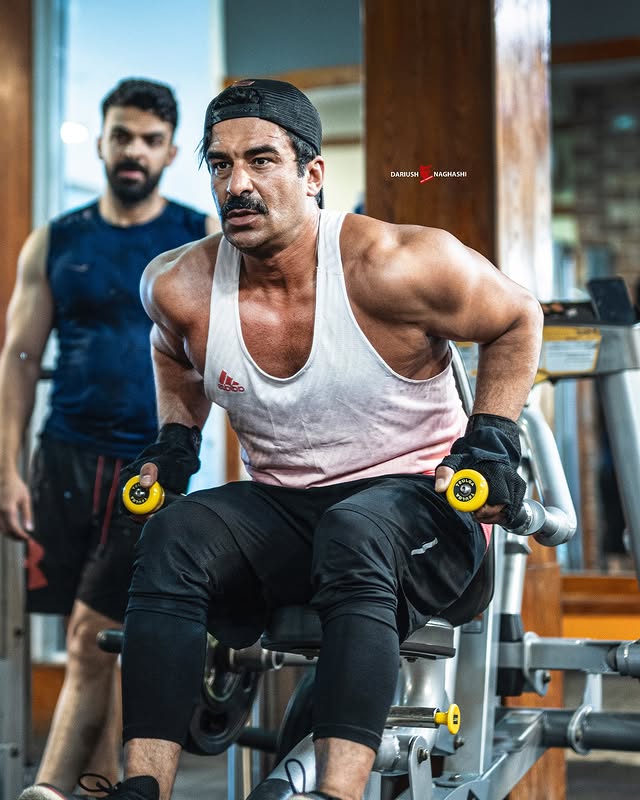 تصویر گالری