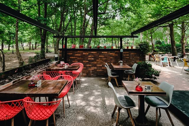 کافه کتاب سایه