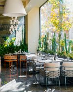 تصویر پیوست